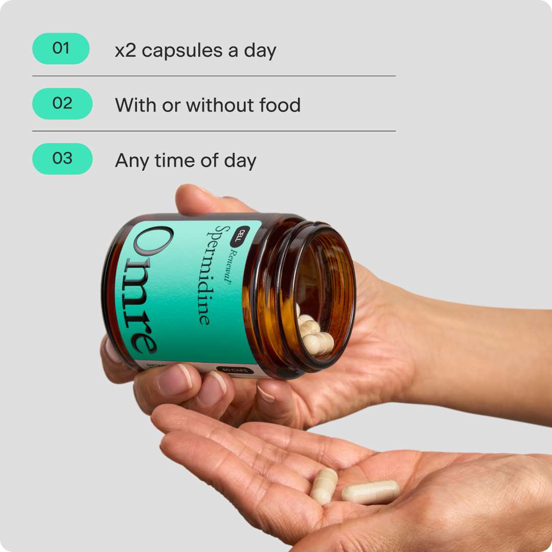 Spermidine